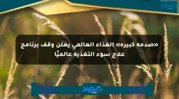 «صدمة كبيرة» الغذاء العالمي يعلن وقف برنامج علاج سوء التغذية عالميًا
